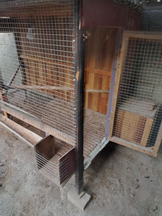 Tovuq katak sotiladi