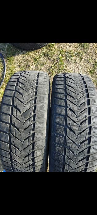 225 55 R19  Две зимни гуми