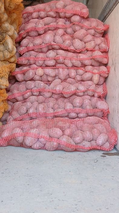 Cartofi rosii cu miezul galben