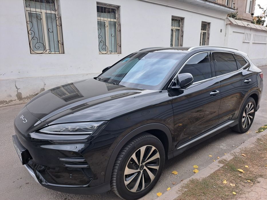 Chinpion   605  talik  flagship