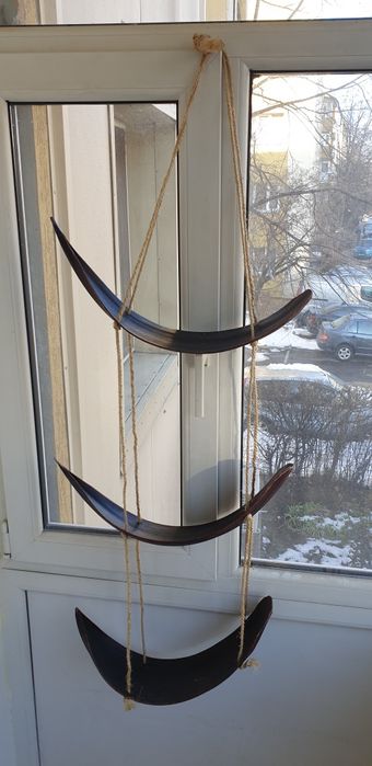 Suport etajera accesoriu decorațiune cocos Franța 1950