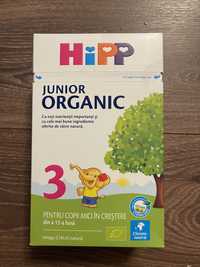 Hipp Junior Organic