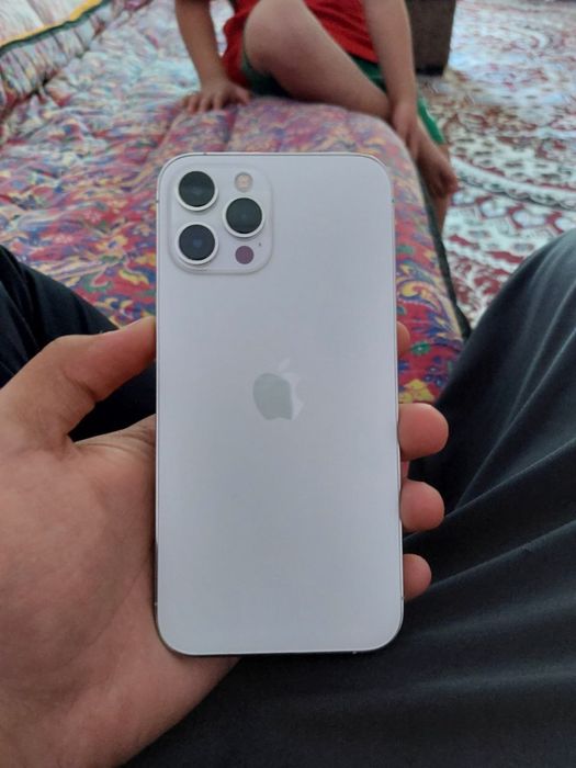 iPhone 12 pro max