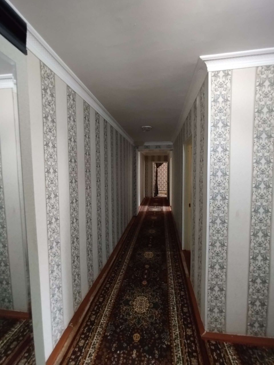 3 Хоналик Киргули Дружба