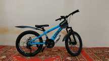 Velik razmer 20 noviy