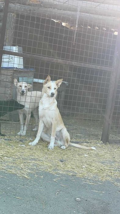 Ищет дом суперский парень красавчик