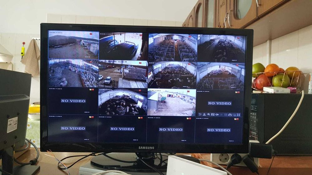 Montaj/Instalare/ Intretinere /camere supraveghere ,Judetul neamt