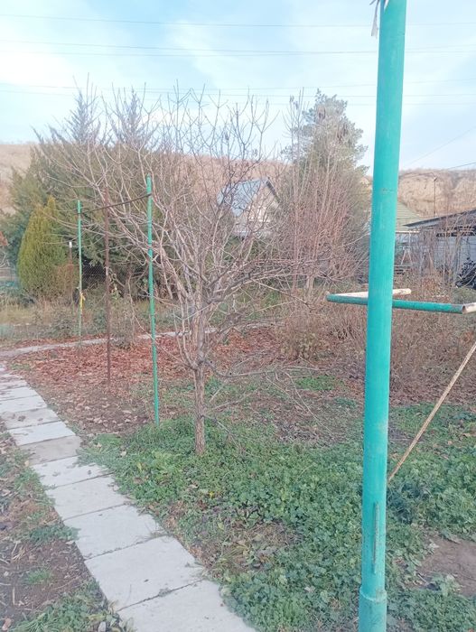 Продается 2 дома на одном участке