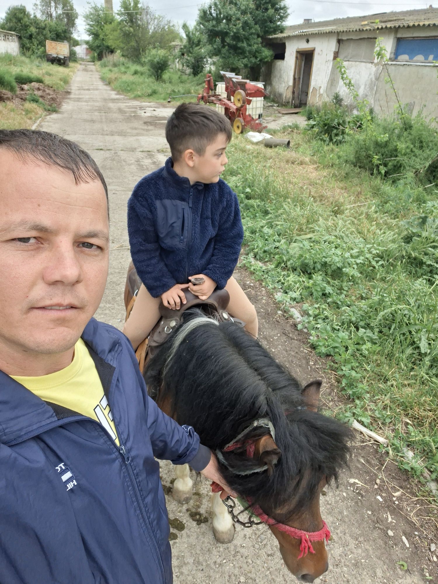 Vând ponei de talie mijlocie 120