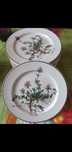 15 Farfuri întinse Villeroy&Bosch Botanica