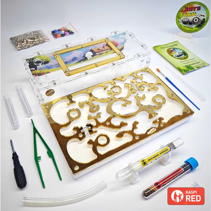 ГИПСО-Акриловый Формикарий "ACE" ||| Муравьиная ферма - Муравьи жнецы