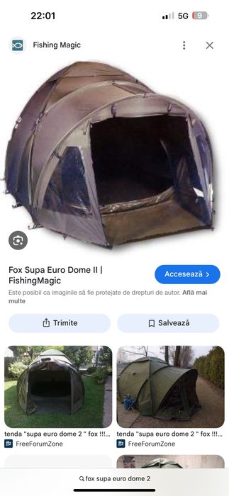 Cort fox Supa Euro Dome 2