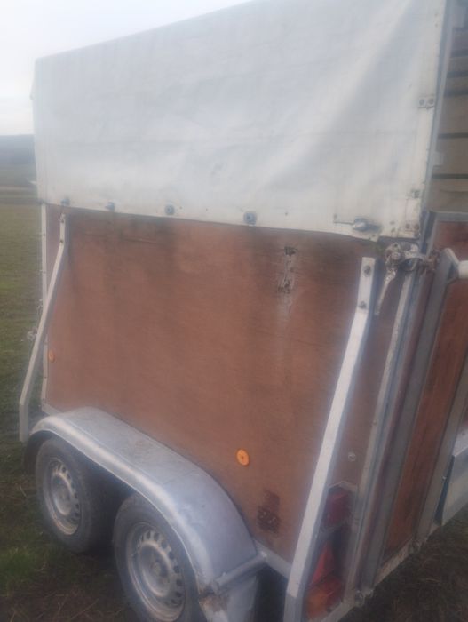 Remorcă de transportat cai