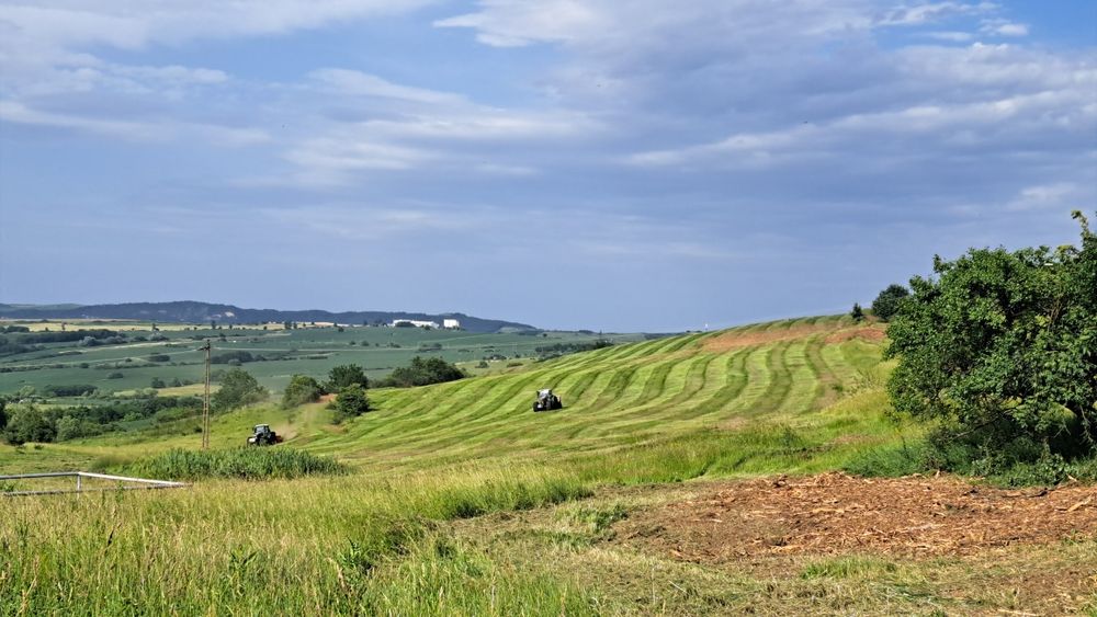 Defrișări și întreținere pășunat