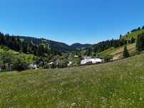 Teren de vanzare 9432 mp intravilan in Bucovina comuna Breaza