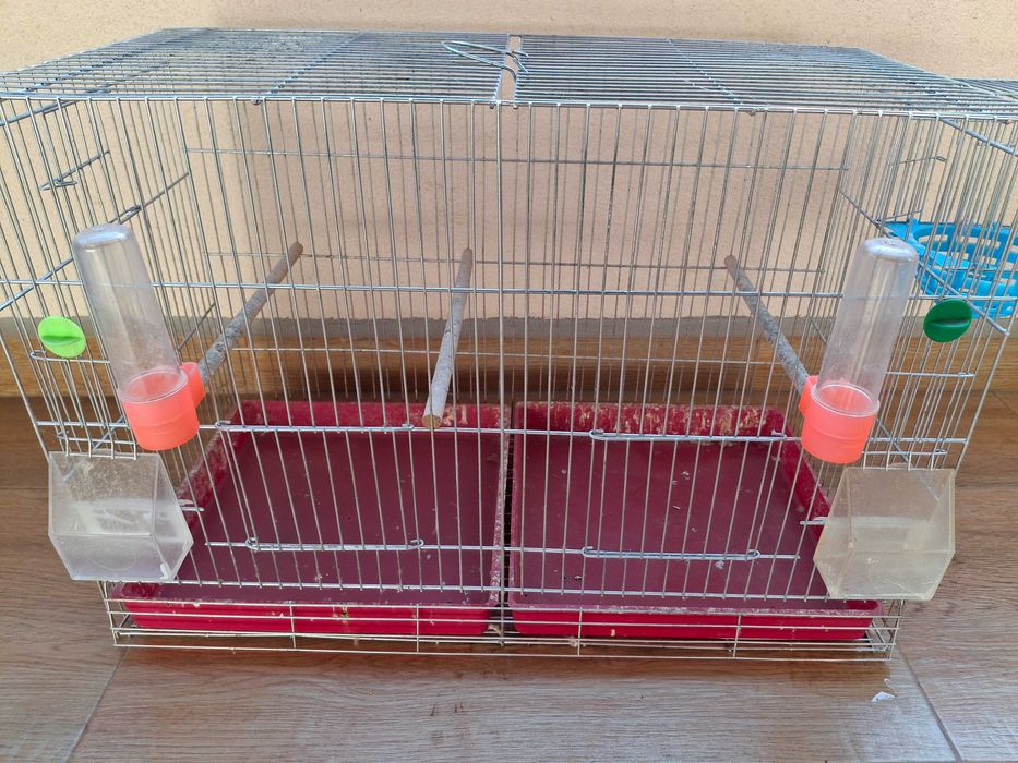 Клетки за канарчета