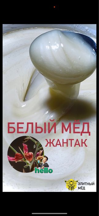 Мёд натуральный оптом белый