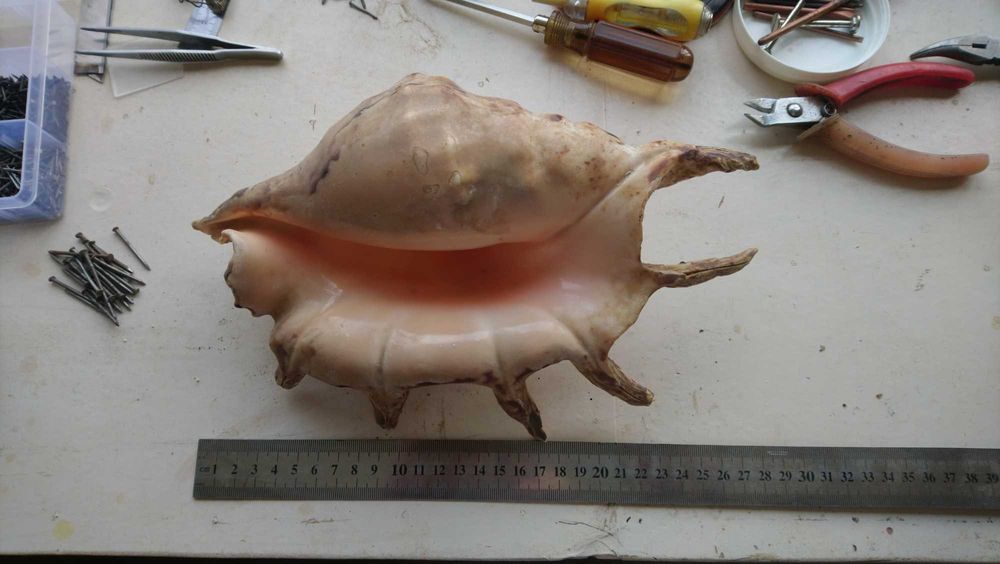 Народное творчество народов Севера и Дальнего Востока