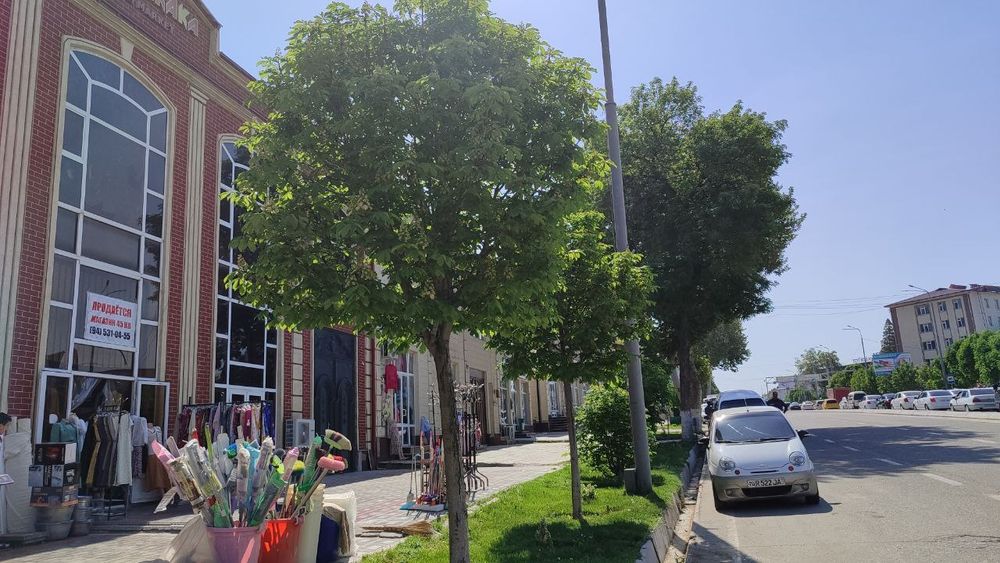 Продается магазин