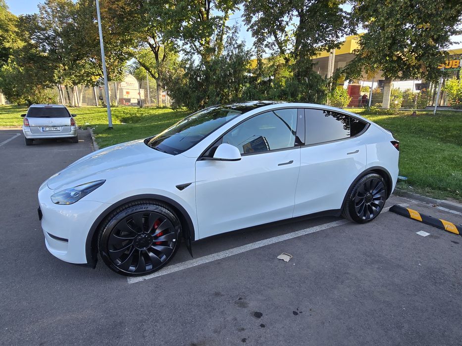 Tesla Y performers