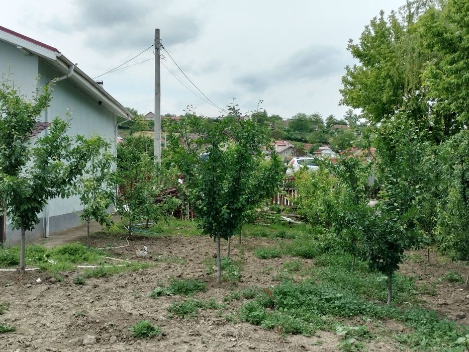 Vând Casă la Văleni VS 8 km DN 24