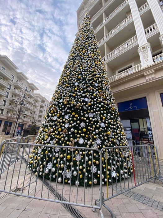 Котта Арча, Болгие  Ёлки, перзидентская Ёлка.  +оформления!