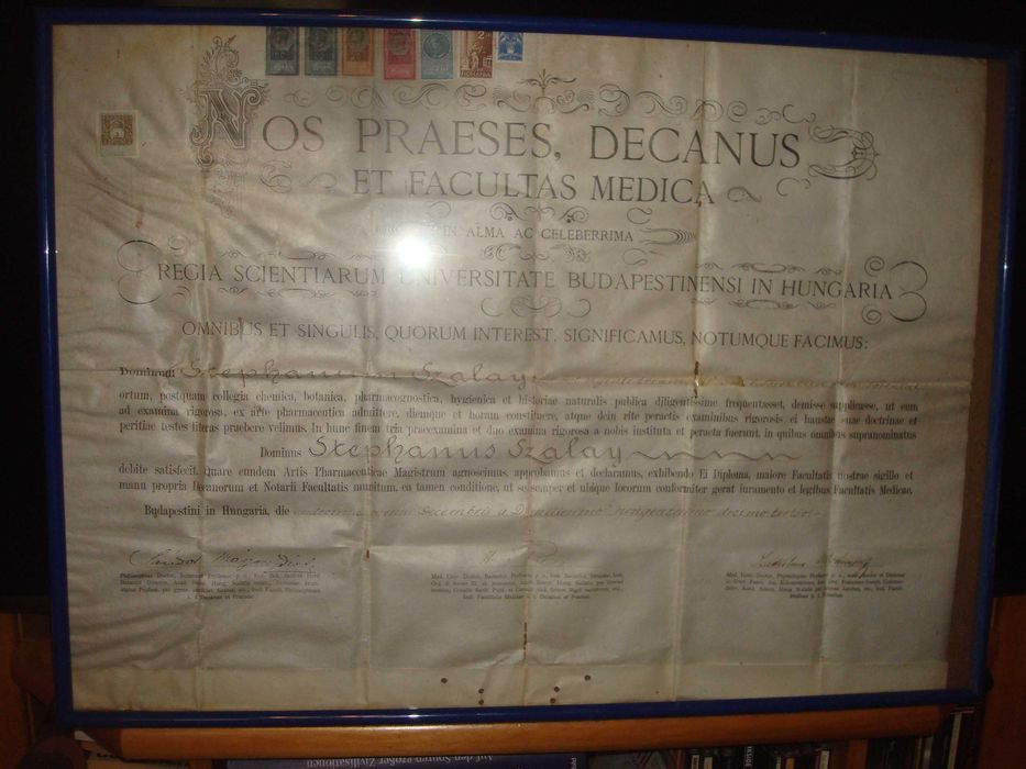 Diploma medicina-farmacie-Universitatea Budapesta- Austro Ungar-1913