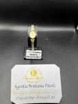 Ceas  Aur Stamboul 14 k cod 28695