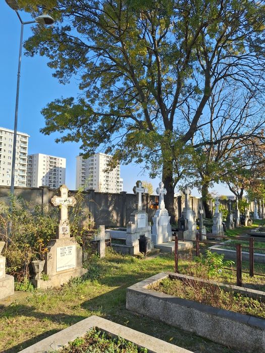 Loc de veci- Ghencea II- Domnești