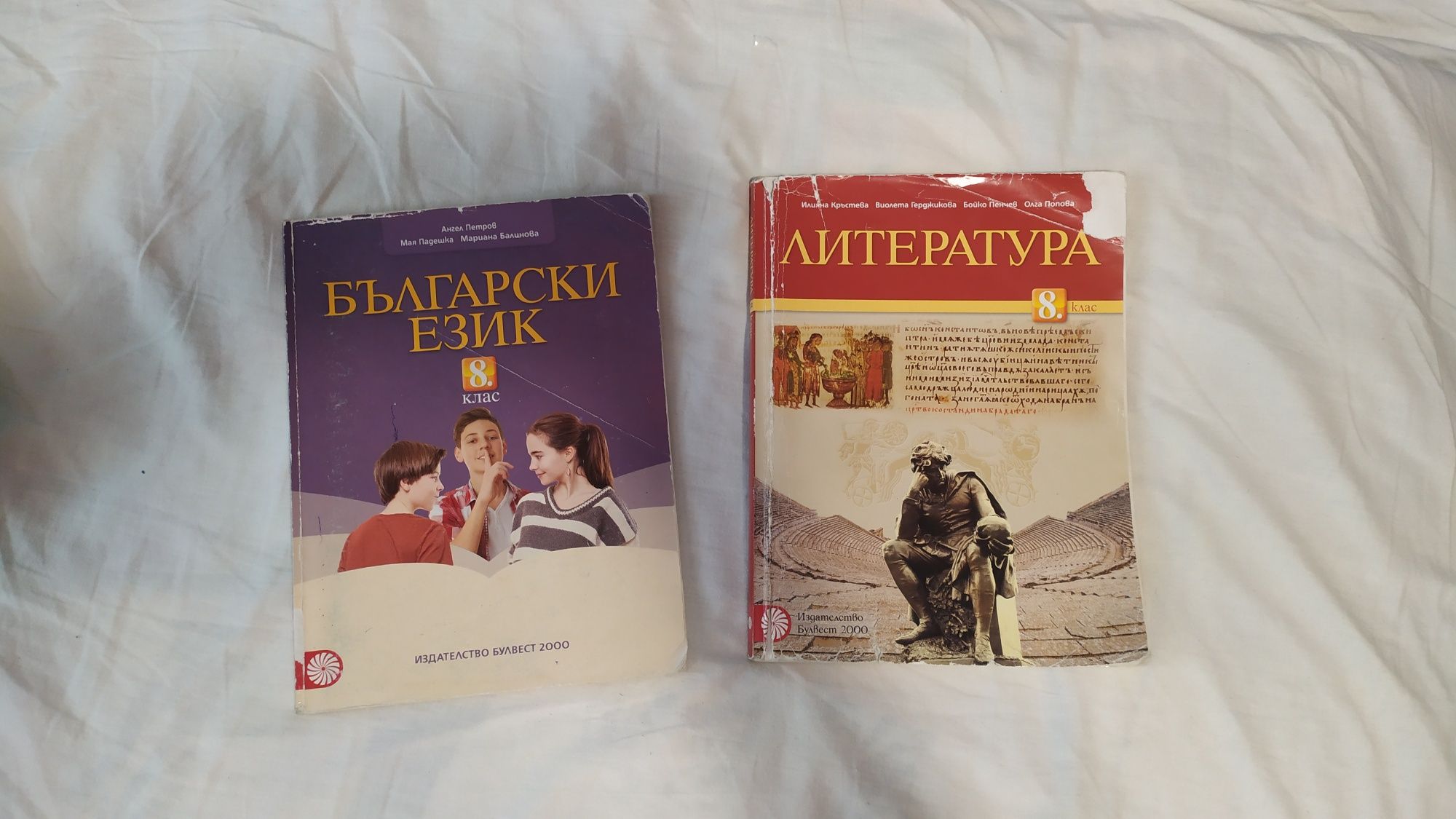 Учебници 8 клас МГ Плевен български литература философия музика и още