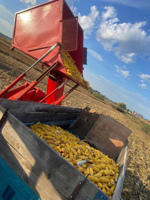 Culegatoare de porumb sip tornado 40