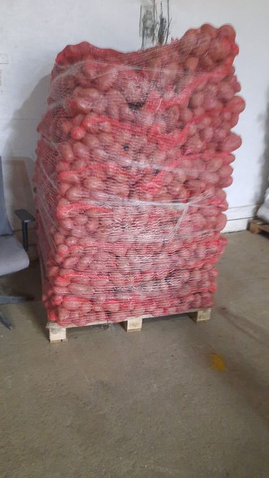 Vand Cartofi calibru 55+la sac 10kg si 25 kg