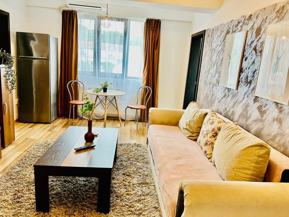 Regim hotelier central Palas apartamente 1,2, 3 camere