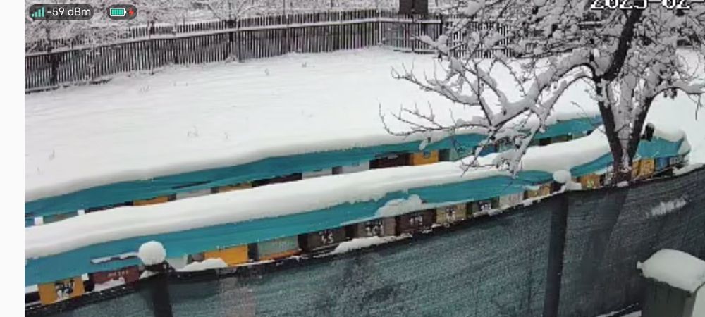 Vând 200 kg miere salcâm 2023