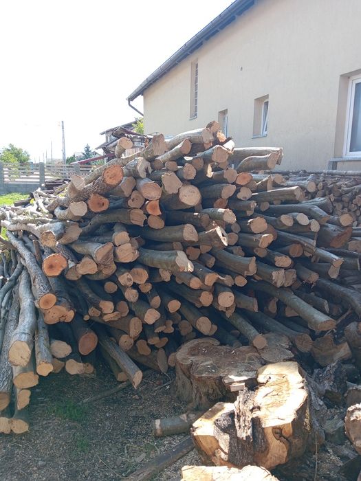 Vând lemne de pașune 600 lei pe căruță