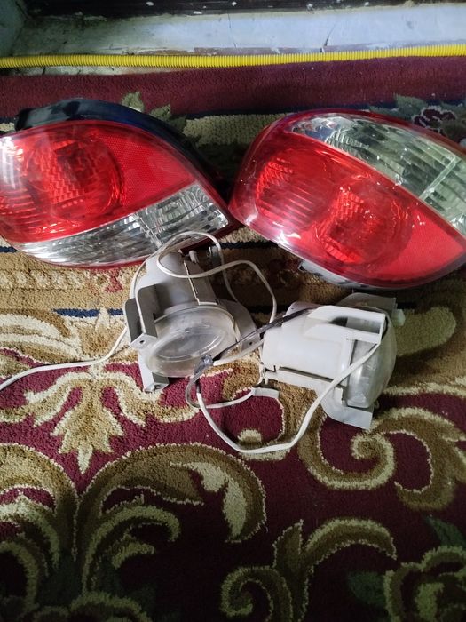 стоп канаелек галаген блан