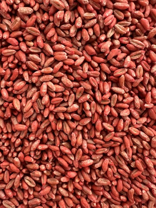 Vand grau de samanta Rubisko c1