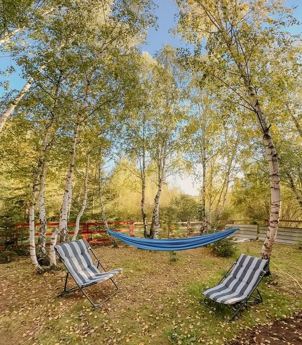 Cabană cu ciubăr la Călățele Pădure, libera de revelion