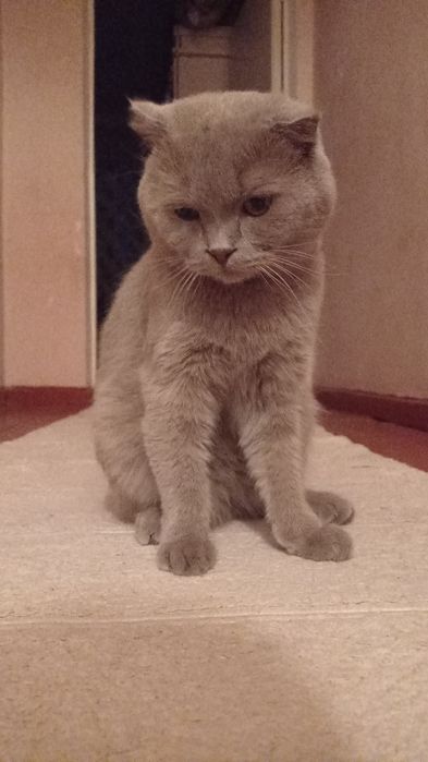 Мужик сотилади 1.5 йош