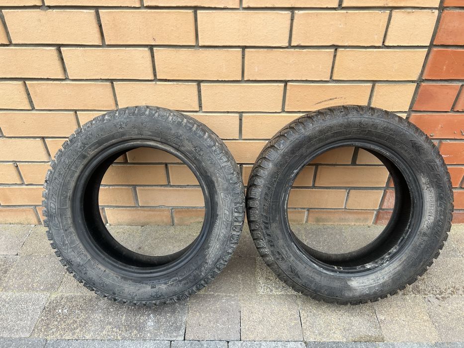 Шины зимние с шипами R14 Cordiant