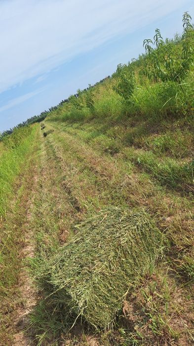 5 гектар бог сотилади