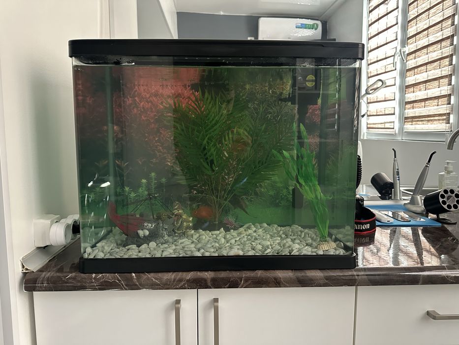 Продается аквариум