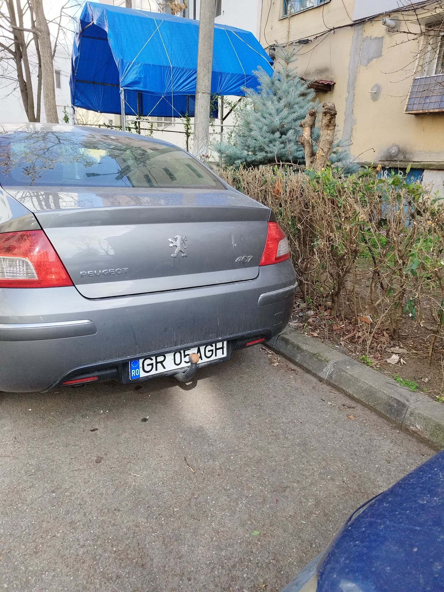 Vand Peugeot 407