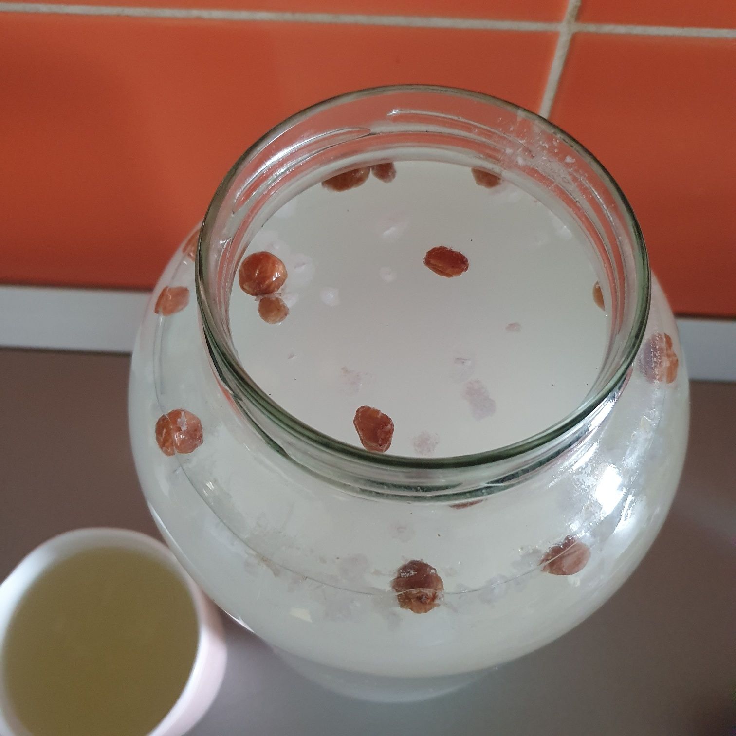 Vând cristale japoneze kefir de apa și ciuperca Kombucha pentru ceai