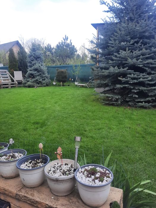 Vand casa in complex de case insiruite miroslava