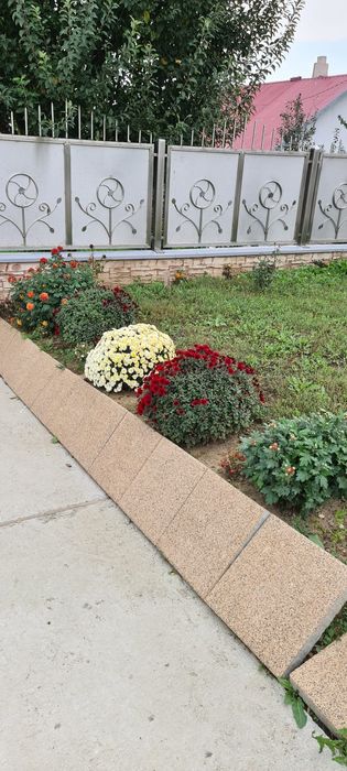 De vânzare casa plus terenul aferent total 6900 m2 preț 350000 euro