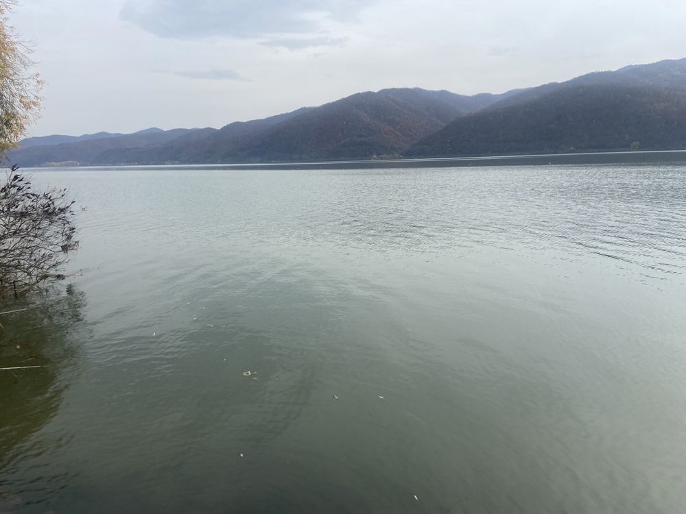 Vand teren cu iesire la Dunare
