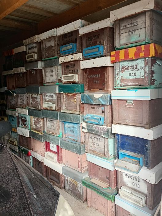 Lazi petru stupi, stas 10 rame