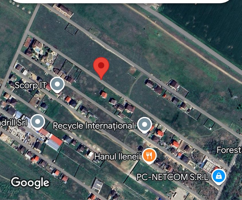 Teren Dragomirești Deal Padure 700m