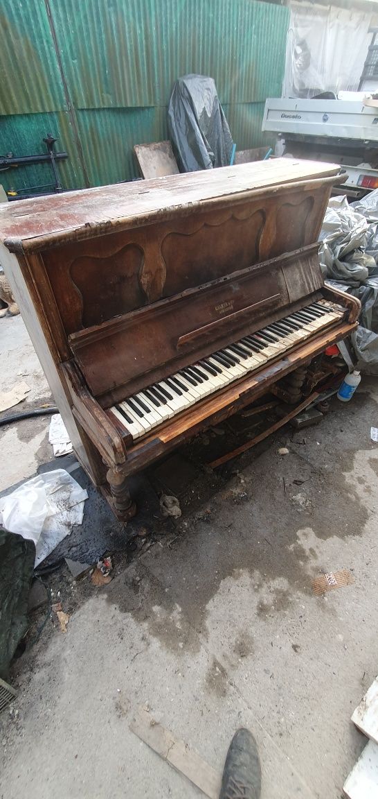 Pianina Kalzer Germania